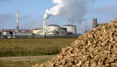 Five injured in explosion at sugar beet factory