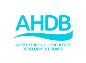 AHDB