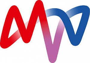 MVV Energie AG